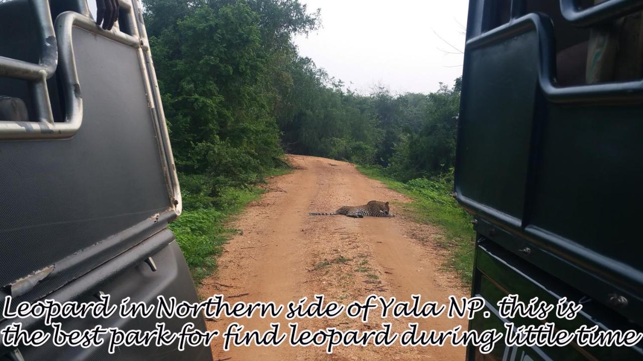 ButtalaYala Avian Eye Safari公寓 外观 照片